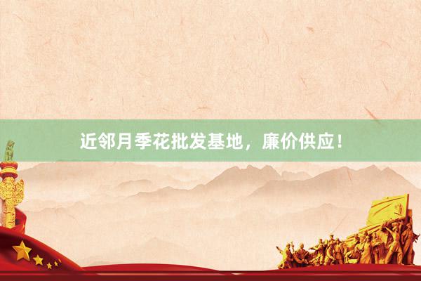 近邻月季花批发基地，廉价供应！