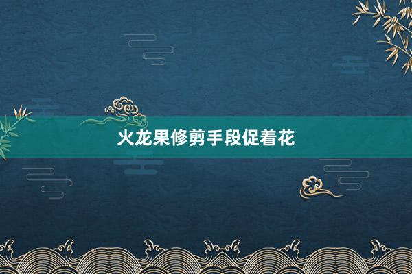 火龙果修剪手段促着花