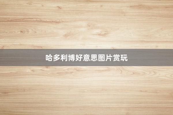 哈多利博好意思图片赏玩